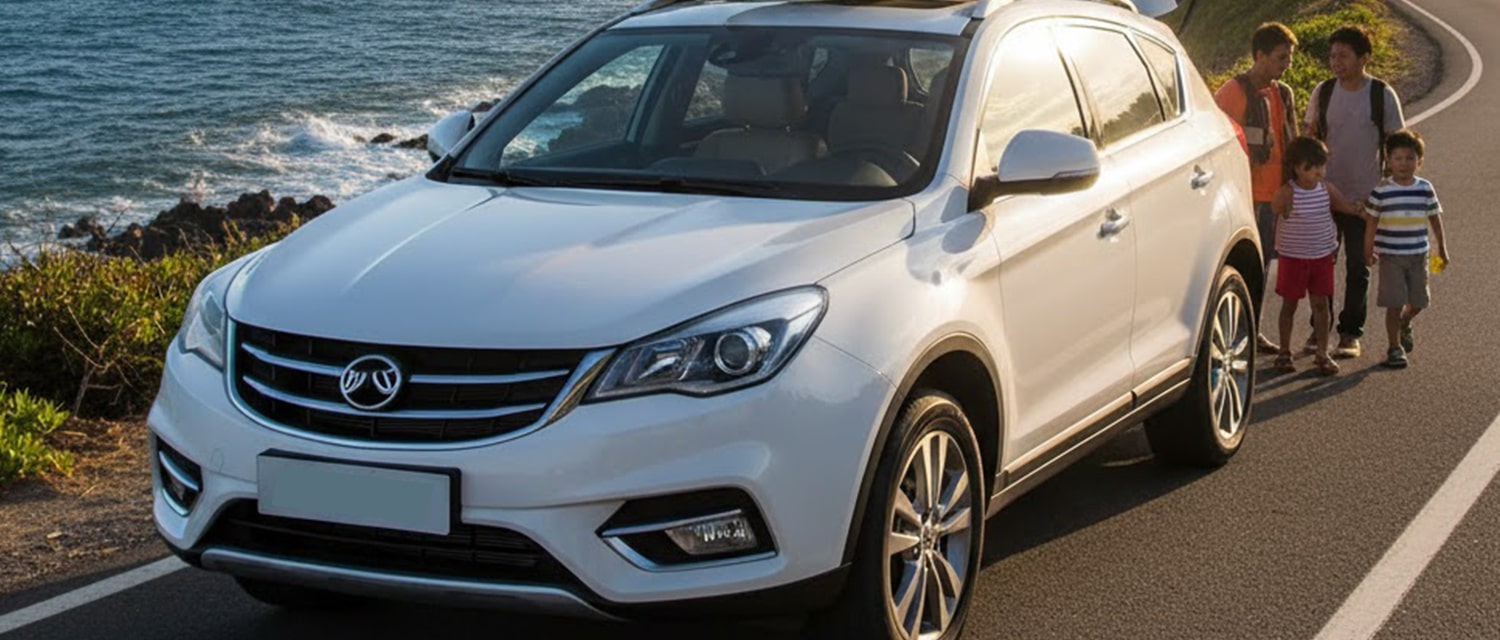 لوازم یدکی بی وای دی اس 6